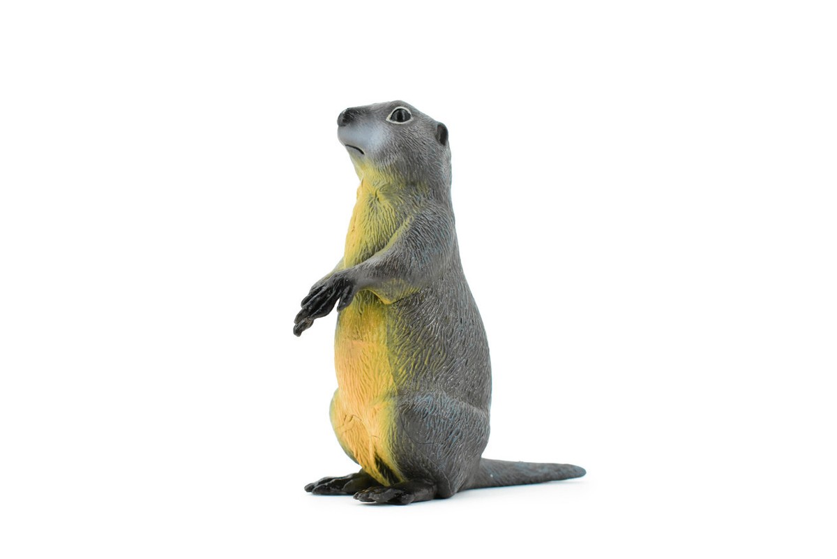 NEIGHBORHOOD ×Marmot Marmot, Ground Squirrel, Realistic Toy Figure, Model Statue