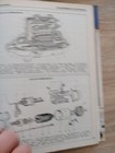 Bild 12 von 17