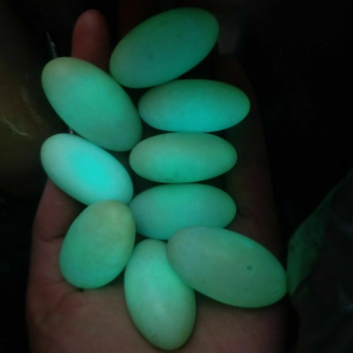 1kg Glow In The Dark Tibetan Wealth God Ancient Luminous Egg Old Dzi Bead - Picture 4 of 9