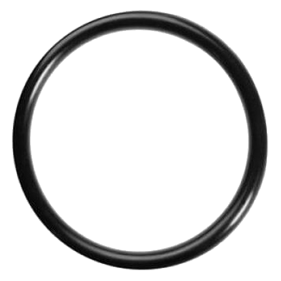 GUARNIZIONE O-RING PER MACCHINE DA CAFFÈ CIALDE ESE44