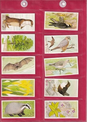BR0OKE BOND TEA - A JOURNEY DOWNSTREAM - 1990 - FULL SET IN SLEEVES