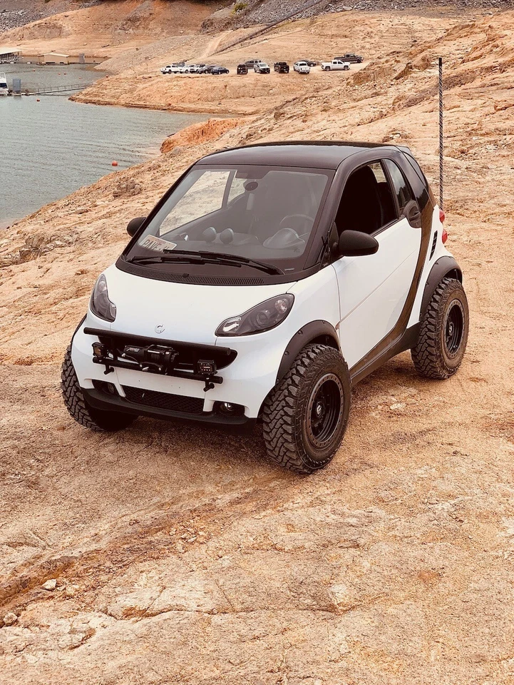 Little Big Supply™ Bolt-On Fender Flare Set for Smart Fortwo w/ Hardware Foto 3 de 4