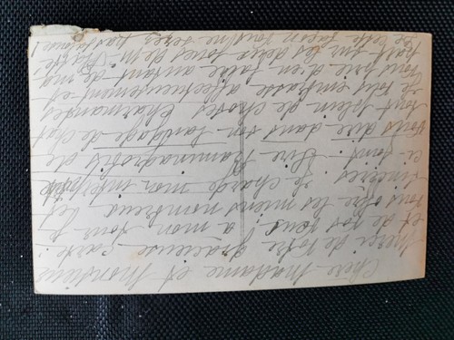 CPA Heureuse Année - Panier - Fleurs - Chat blanc - Imagen 2 de 2