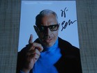 Jeff Goldblum, Actor, an ORIGINAL HAND SIGNED 8 X 6 PHOTO