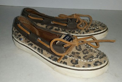 cheetah sperrys