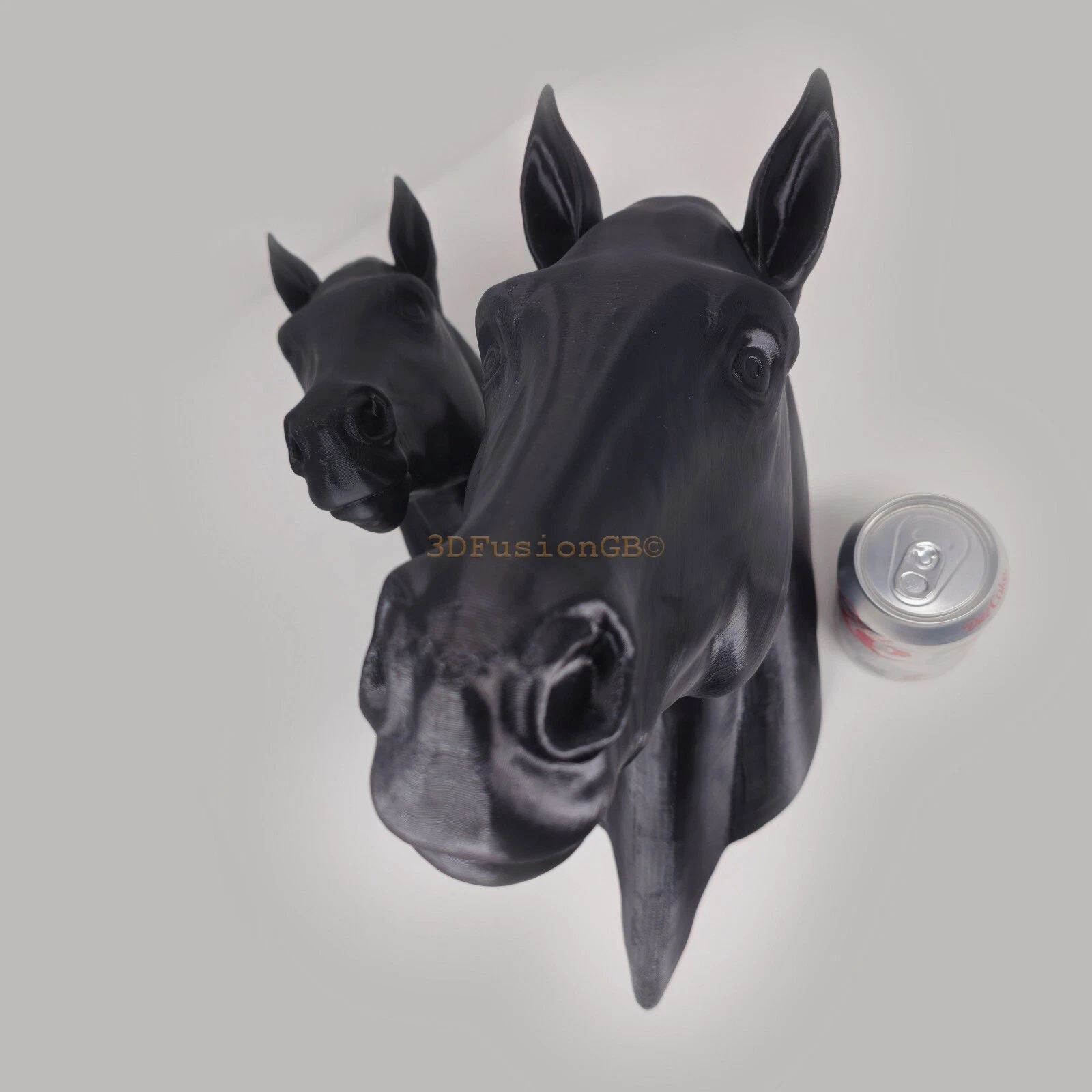 Horse Wall Art Photo 2