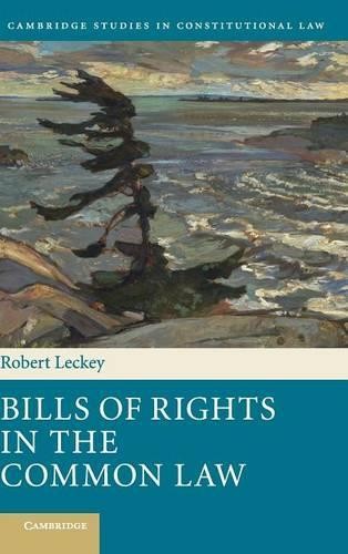 Bills of Rights in the Common Law by Robert Leckey - 9781107038530