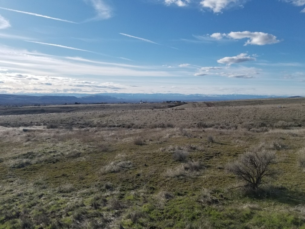 (14 acres) Vacant Land For Sale In Yakima County (Moxee, WA). 22,000