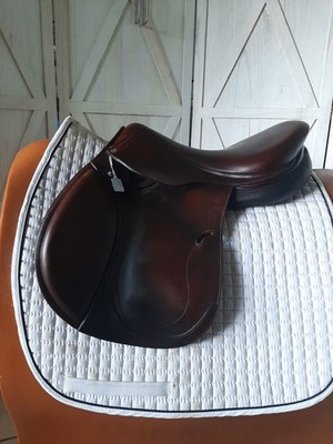Antares Evolution Jump Saddle 17.5''