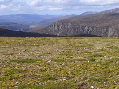 Photo A2 Summit ridge of Carn an Fhidleir Lorgaidh above Glen Feshie, Av c2012