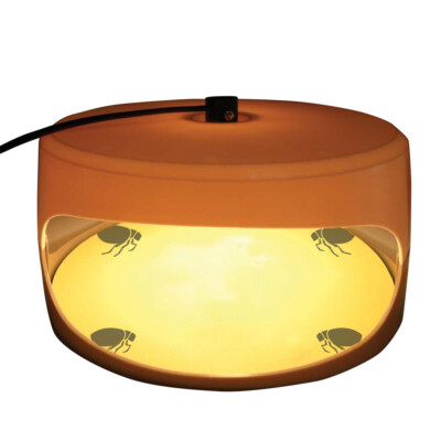 Electric Dome Flea Light Trap  Bed Bug Trap Killer 2 Glue Discs Non-Toxic N7G0