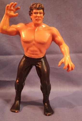Titan Sports 8 Ricky The Dragon Steamboat WWF Acti...