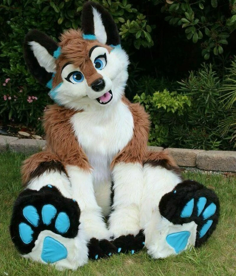 Dog wolf deals costume