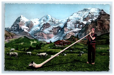 Postcard Alphorn Player Zurich Switzerland Cattle Mountains