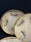 Weimar Hand Painted Small Dishes (5) Made In Germany For F Vorenberg Co. Boston — photo 6