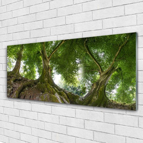 Tulup Tableau Murale Impression Sous Verre 125x50 Abstraction