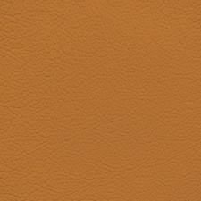 GM Mojave Leather Dye