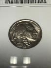 1937 MS64 Buffalo Nickel ANACS GRADED in Holder Detailed Horn! Free shipping