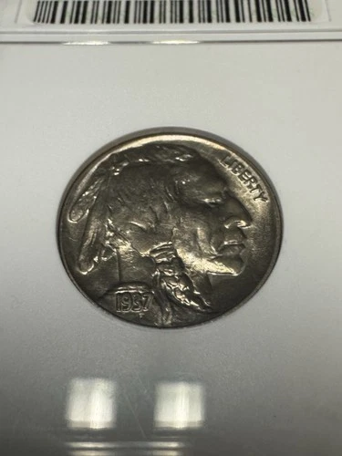 1937 MS64 Buffalo Nickel ANACS GRADED in Holder Detailed Horn! Free shipping