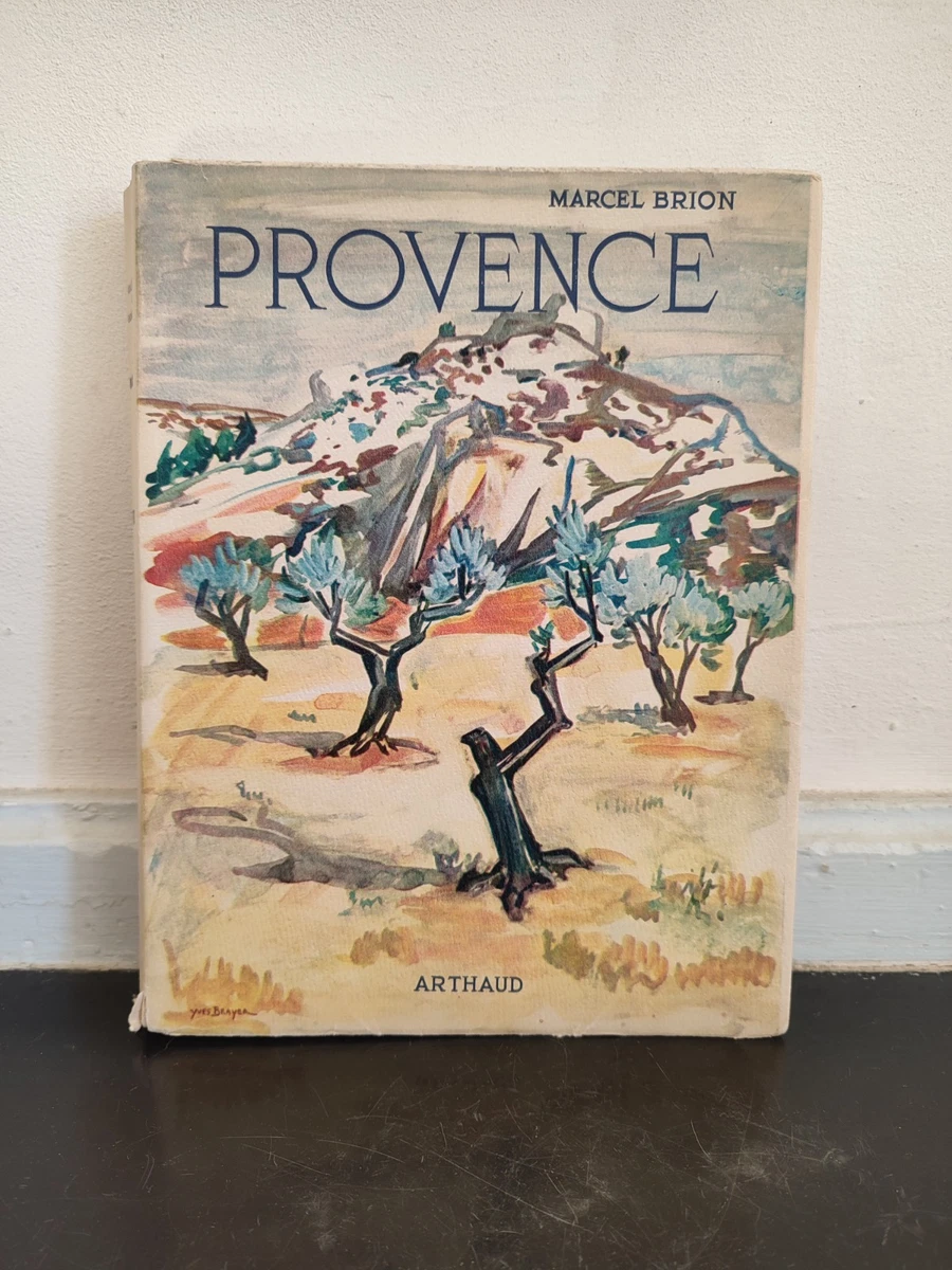 Livre : Maîtres provençaux de 1859 à nos jours : galerie Jouvène, le