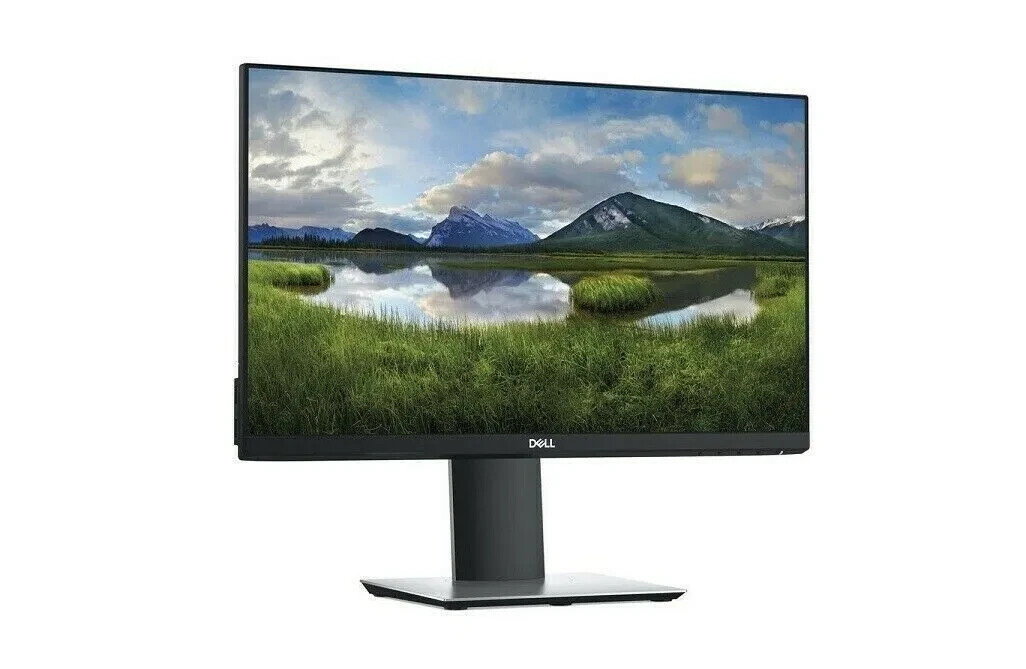 Dell P2419H 24