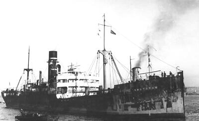 Amberton Ship of the Chapman Line Shipping Co OLD PHOTO