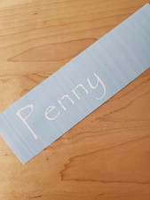 Penny pet name Sticker Vinyl Decals 10" (2) PAIR white- Dog Cat Pet Puppy FAST