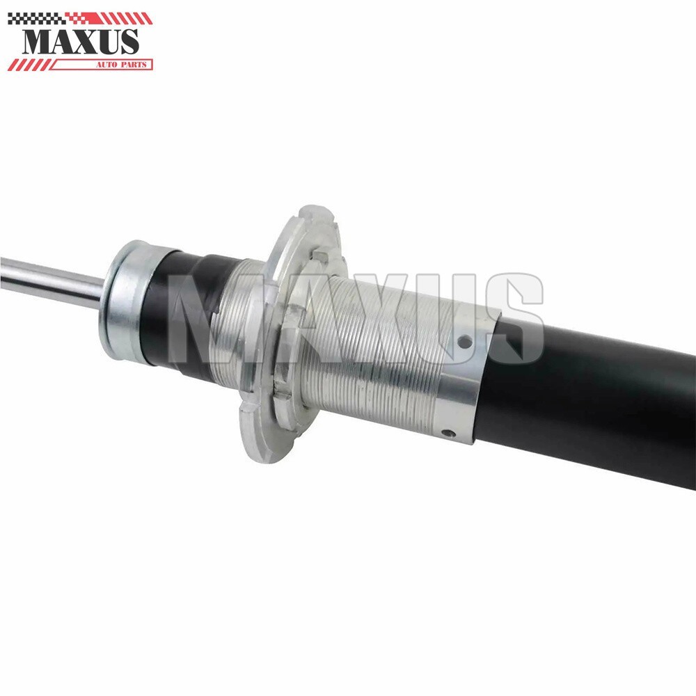 Ferrari 458 2010-2015 Rear Left, right Shock absorbers Pair