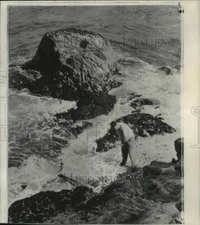 1960 Press Photo Johnny Dawson hits ball to green on 16th hole at Cypress Point