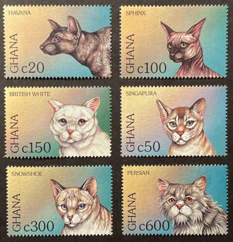 GHANA CAT STAMPS SET 6V MNH 1997 PERSIAN SNOWSHOE HAVANA SPHYNX FELINE PETS - Afbeelding 1 van 1