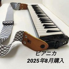 SUZUKI Hammond PRO-44HP Electro-Acoustic Melodica Used JP Free Ship