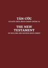 Vietnamese and English New Testament (Paperback) (UK IMPORT)