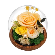 EIGHTOWN Yellow Roses Preserved Real Flower in Glass Dome - Real Rose Gift fo...