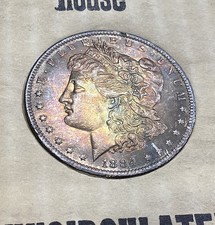 Tidy House Morgan Silver Dollar~1884 O 100% Toned~Colorful~info Sheet/Envelope