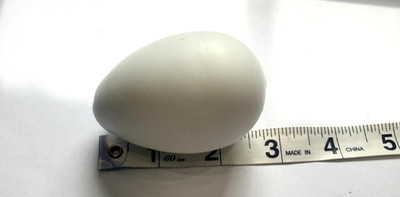 Glass Vintage Brooding Nesting Dummy Egg Blown Duck Chicken W