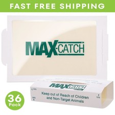 Mice Glue Traps Pest Sticky Boards 72 MAX Trap Catch Spider Insects, 36 pcs Glue