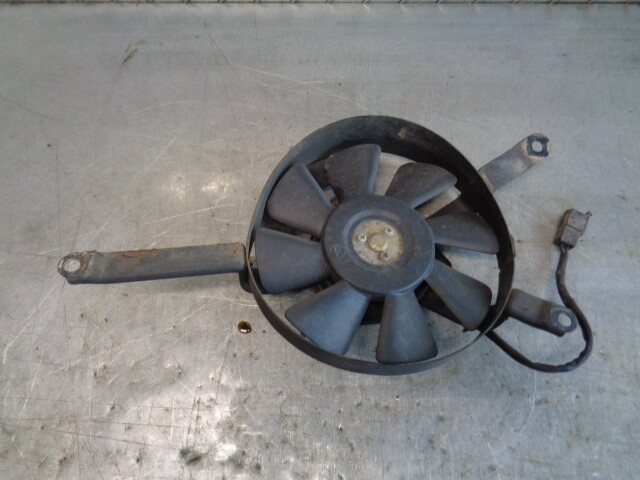 ふー　 THE NORTH FACE（ザ ノースフェイス） ブルゾン アウター 日本未発売