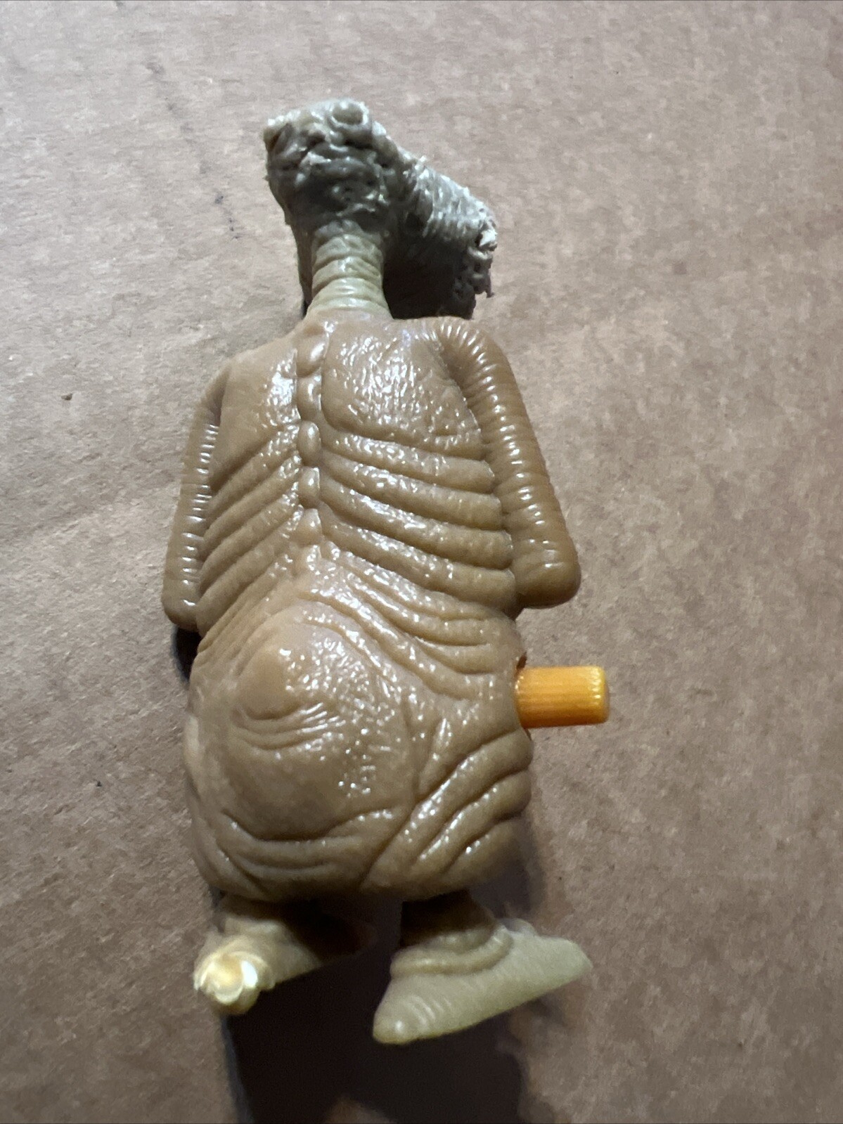 Picture 5 of 5
