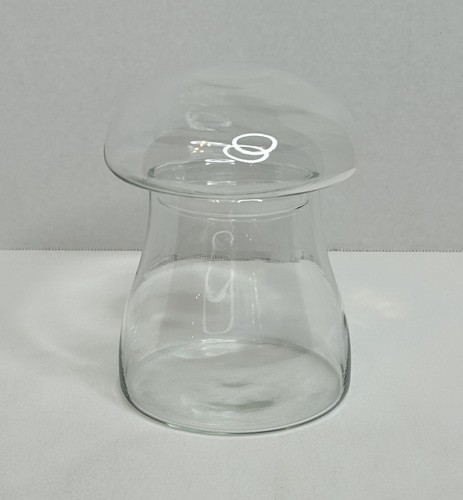 Vintage Libbey 6" Mushroom Jar Crystal Creations Clear Lidded Canister Terrarium - Picture 1 of 10