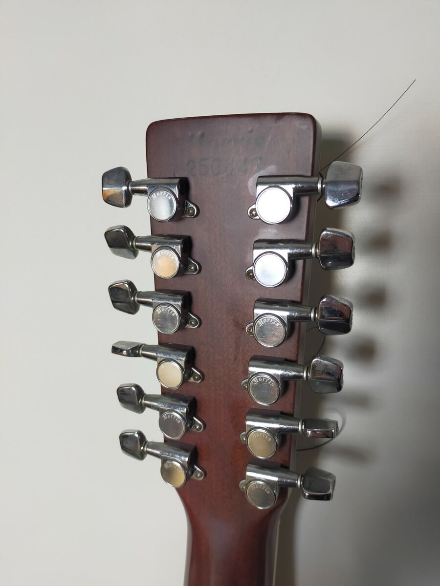 Morris Guitar MB-305-12 Jacaranda 12-string solid top Morris Guitar MB-305-12 Jacaranda 12-string solid top