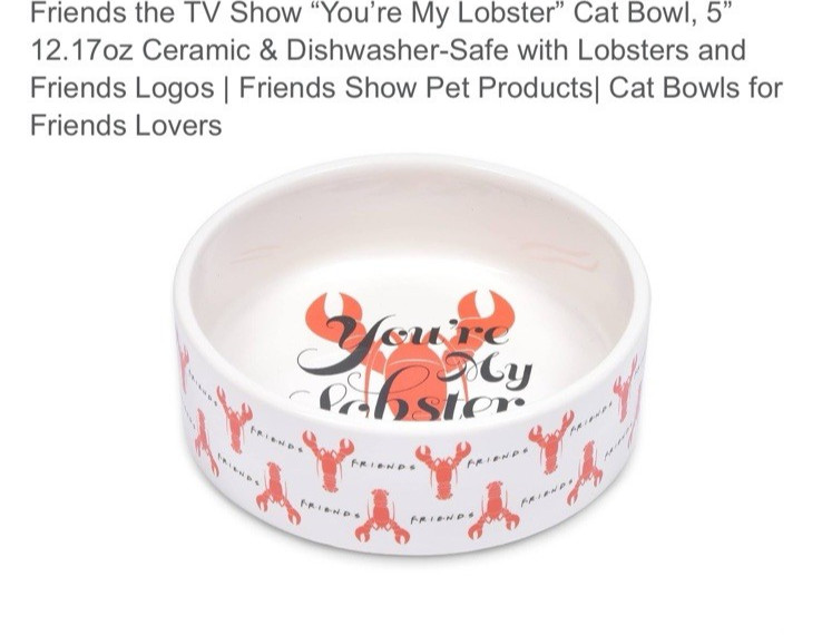 Friends TV Show 1.5 Cups 12.17 Oz Small Ceramic Pet Bowl ~ You're My Lobster NEW