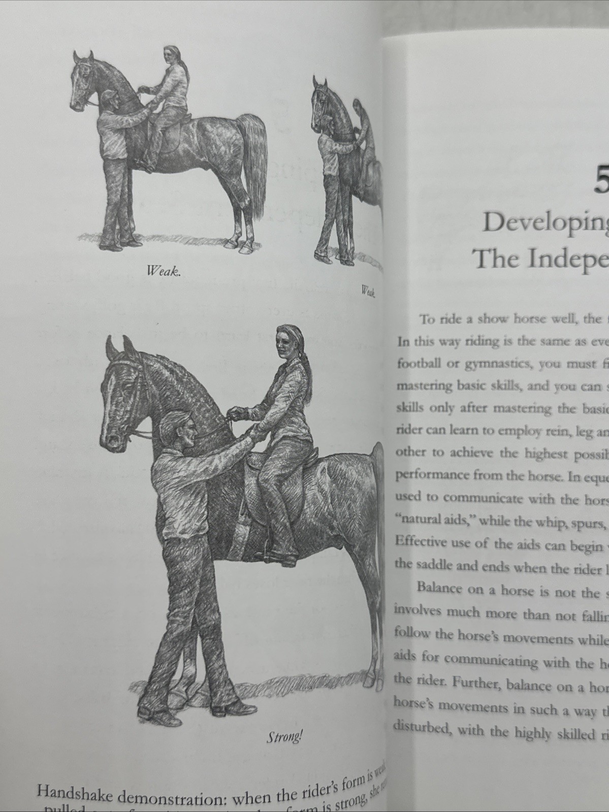 Saddle Seat Horsemanship by Smith Lilly HC (2012) - ACCEPTABLE