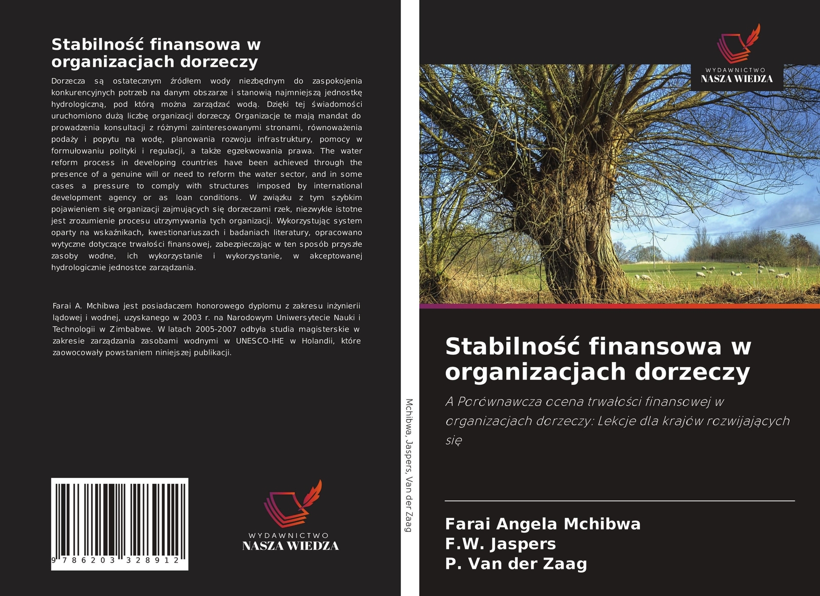 Thumbnail - Stabilno¿¿ Finansowa W Organizacjach Dorzeczy Farai Angela Mchibwa (u.