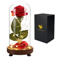 Valentines Day Gifts for Her,Birthday Gifts for Women,Beauty and The Beast Ro...