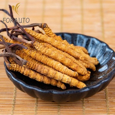 Wild Cordyceps Sinensis From High Himalaya China Tibet PureTaste 2pcs(1G)