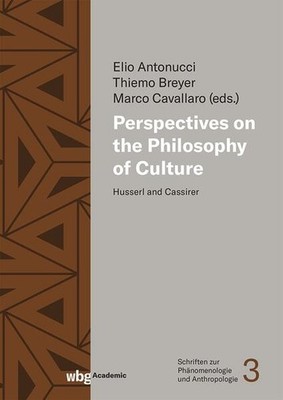 Perspectives on the Philosophy of Culture | englisch