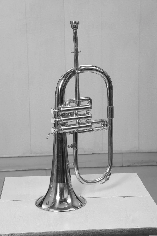 Flugelhorn acabado níquel BB paso con estuche rígido y boquilla Foto 2 de 4