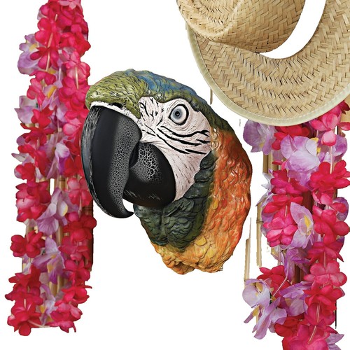 Stupell Industries Parrot Boombox Stupell Groovy Parrot Pink