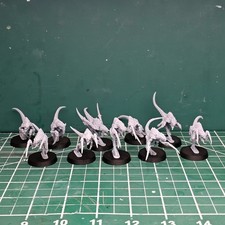 Space Bug Hormagaunts