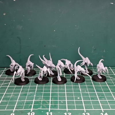 Space Bug Hormagaunts 